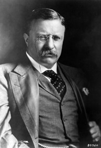 “If you could kick the person in the pants responsible for most of your trouble, you wouldn't sit for a month.” ~ Theodore Roosevelt